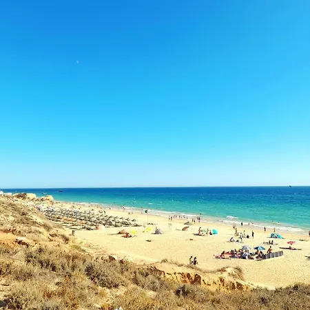 Διαμέρισμα Tropicana One Bedroom Flat T1 With Ac Portatil, Garden And Parking Place *