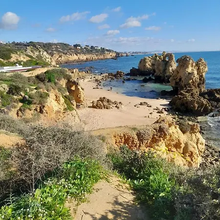 Tropicana One Bedroom Flat T1 In Gale Close To 8 Beaches *