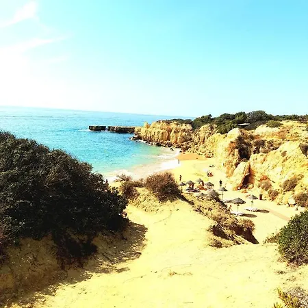 Apartment Tropicana One Bedroom Flat T1 With Ac Portatil, Garden And Parking Place