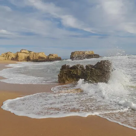 Tropicana One Bedroom Flat T1 With Ac Portatil, Garden And Parking Place Apartment Albufeira