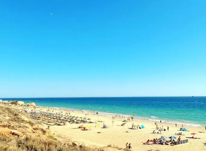 Apartamento Tropicana One Bedroom Flat T1 With Ac Portatil, Garden And Parking Place *