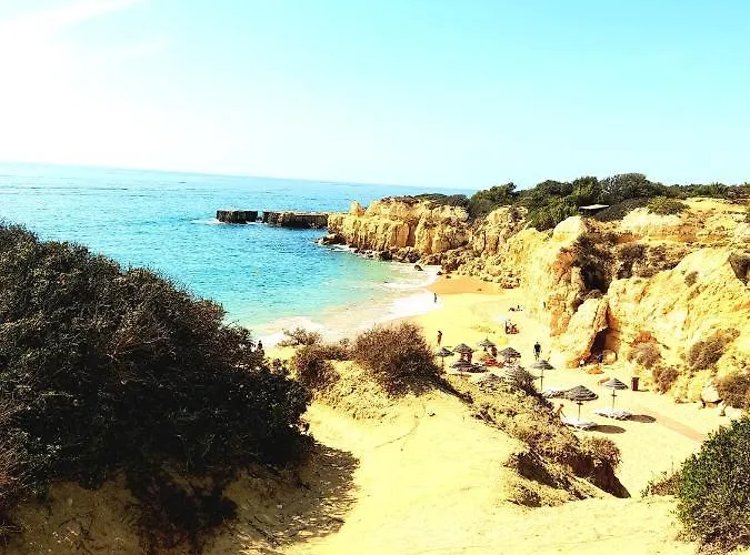 Apartamento Tropicana One Bedroom Flat T1 With Ac Portatil, Garden And Parking Place
